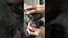 Cat Feasts On Catnip As Owner Tries To Stop Them 1169329