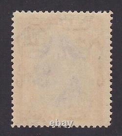 Cyprus. 1928. SG 132, £1 blue & bistre-brown. Fine mounted mint. Cat £225