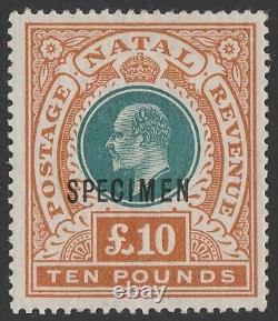 NATAL 1902 KEVII £10 green & orange SPECIMEN. Normal cat £18,000