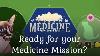 Ready For Your Medicine Mission L Warrior Cat Hub L New Game